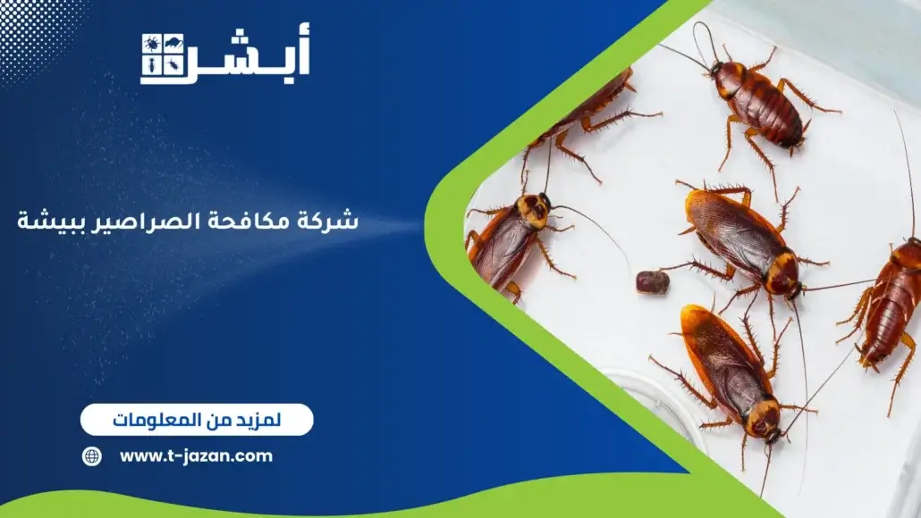 شركة مكافحة الصراصير ببيشة