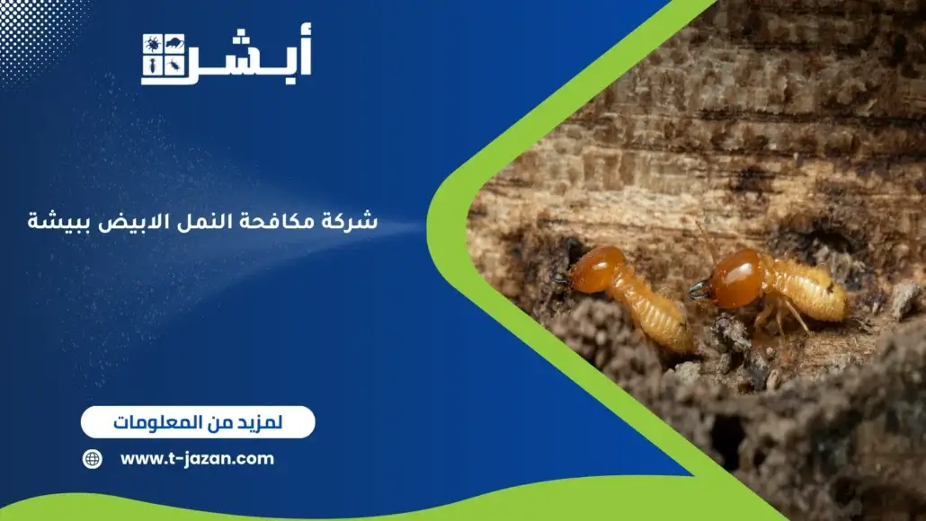 شركة مكافحة النمل الابيض ببيشة