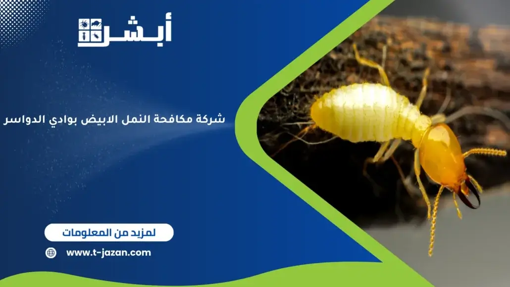شركة مكافحة النمل الابيض بوادي الدواسر