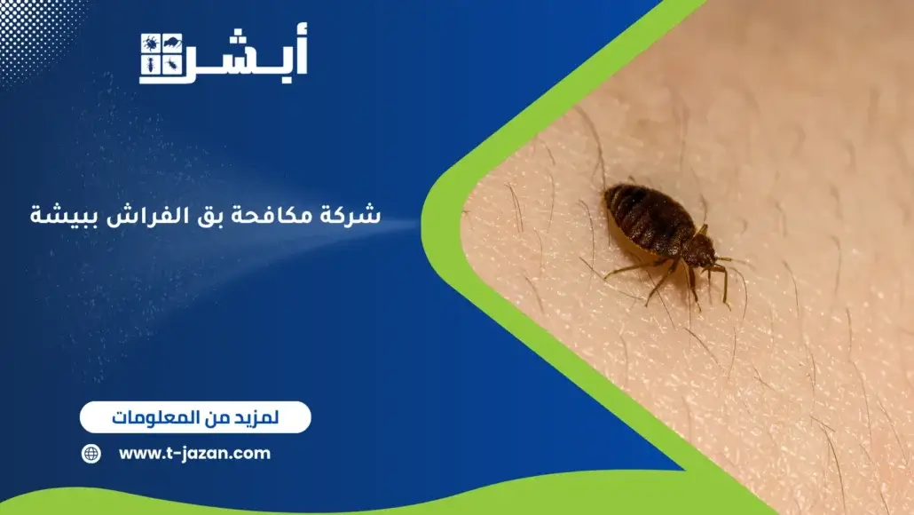شركة مكافحة بق الفراش ببيشة
