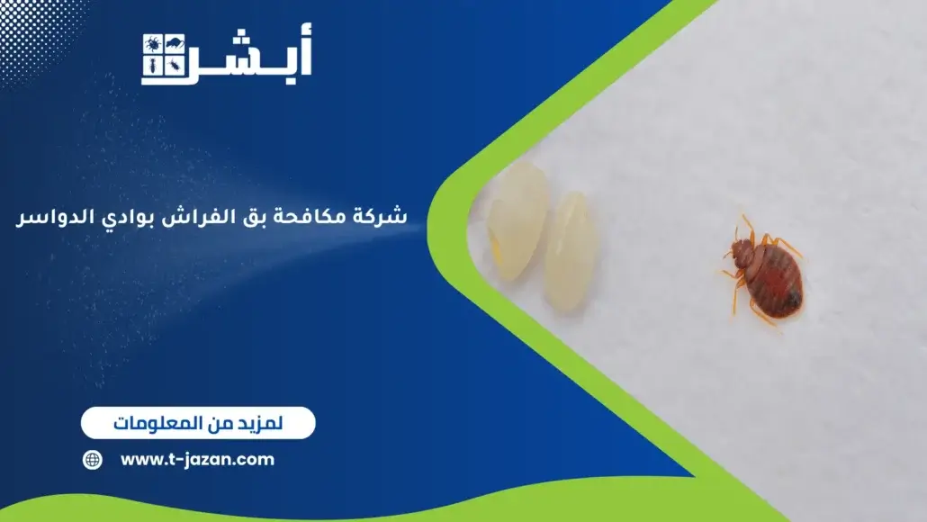 شركة مكافحة بق الفراش بوادي الدواسر