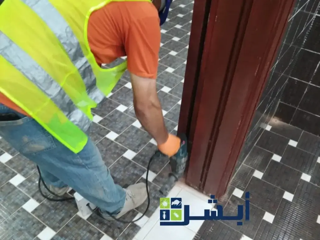 التخلص من النمل الابيض