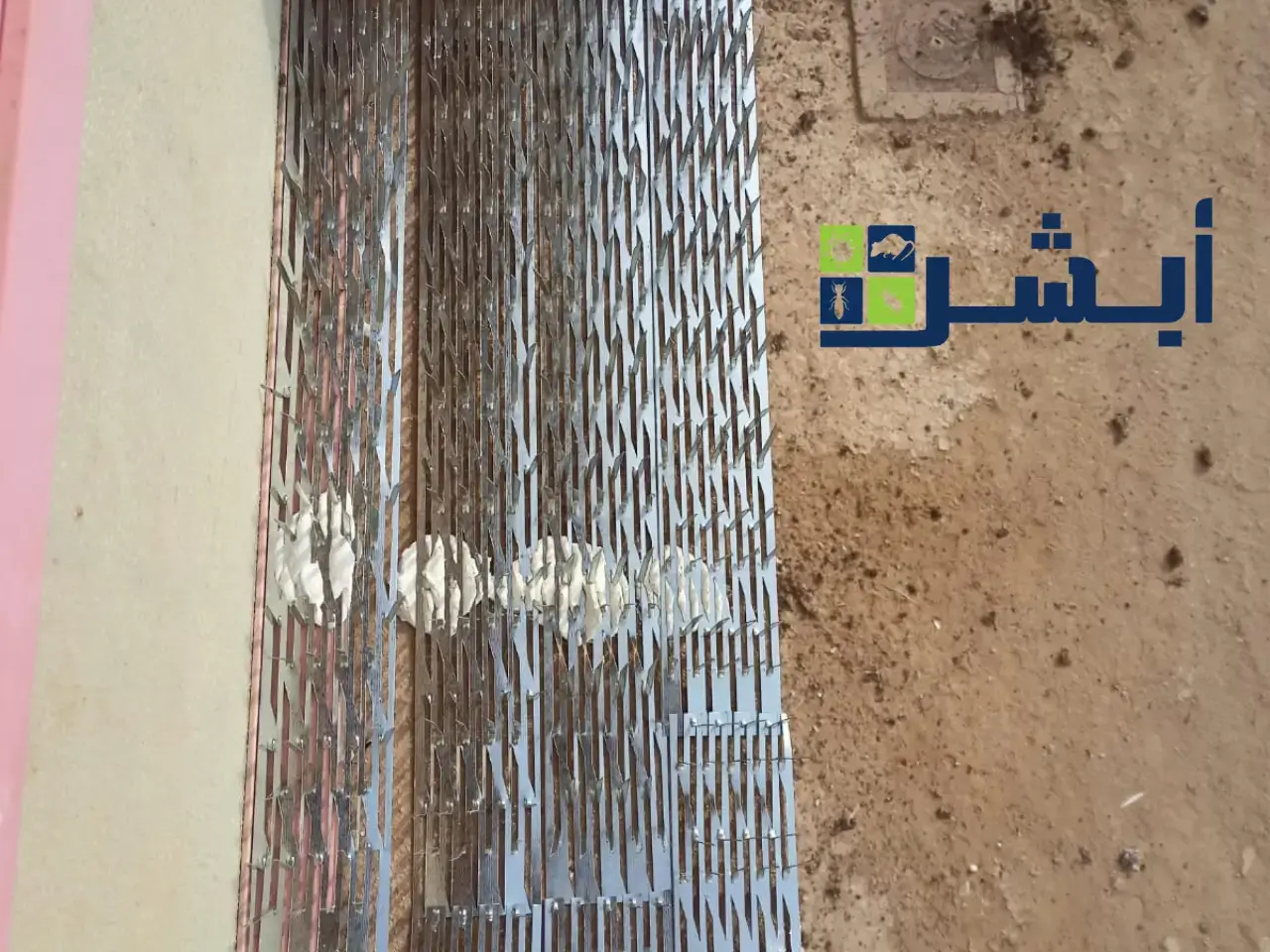 تركيب اشواك طارد الحمام