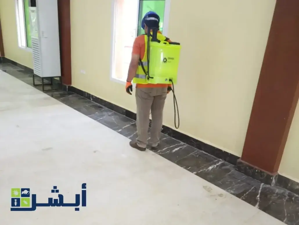 رش النمل الابيض