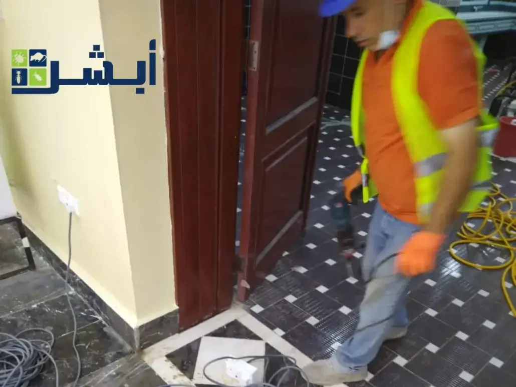 رش مبيد النمل الأبيض