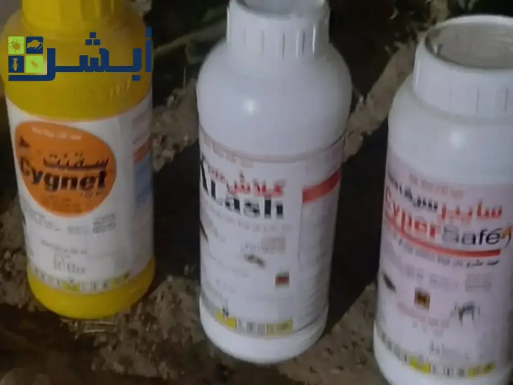 رش مبيدات صراصير