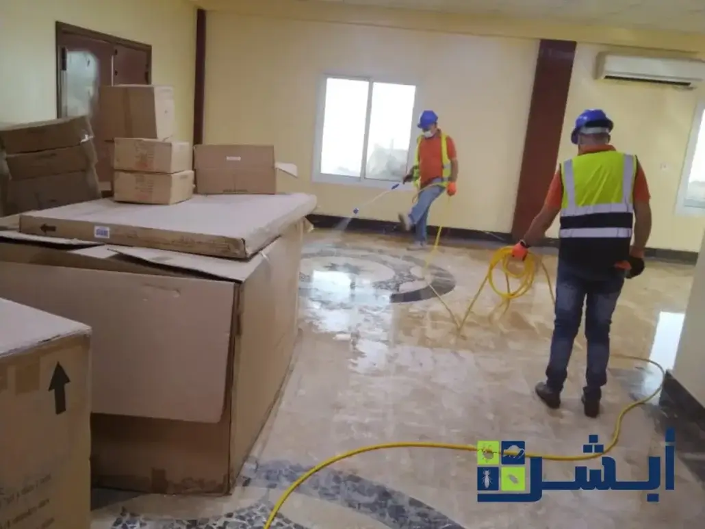 شركات مكافحة النمل الابيض