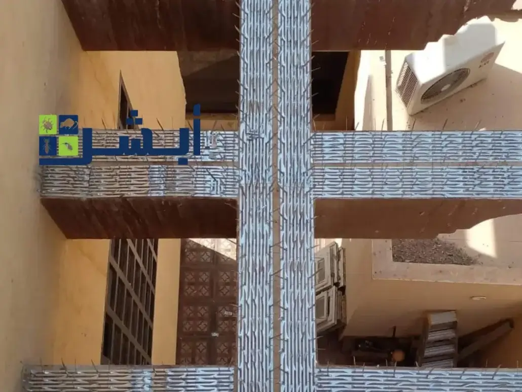 شركة طرد الحمام