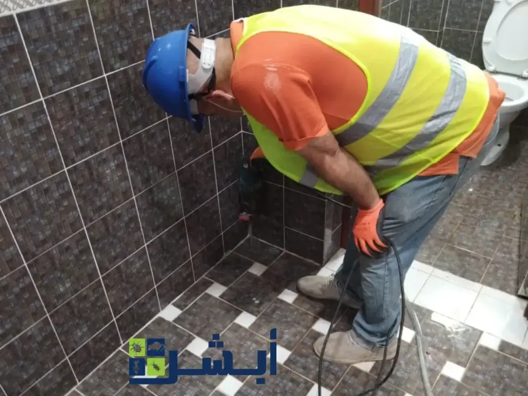 مكافحة النمل الأبيض في المنزل