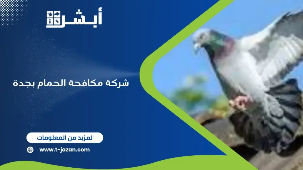 شركة مكافحة الحمام بجدة