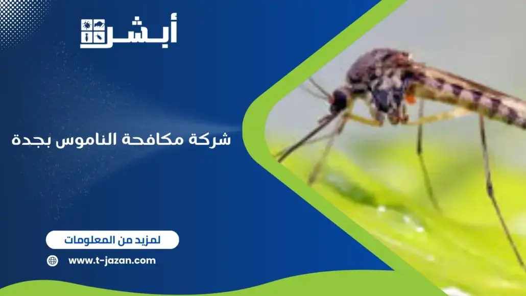 شركة مكافحة الناموس بجدة