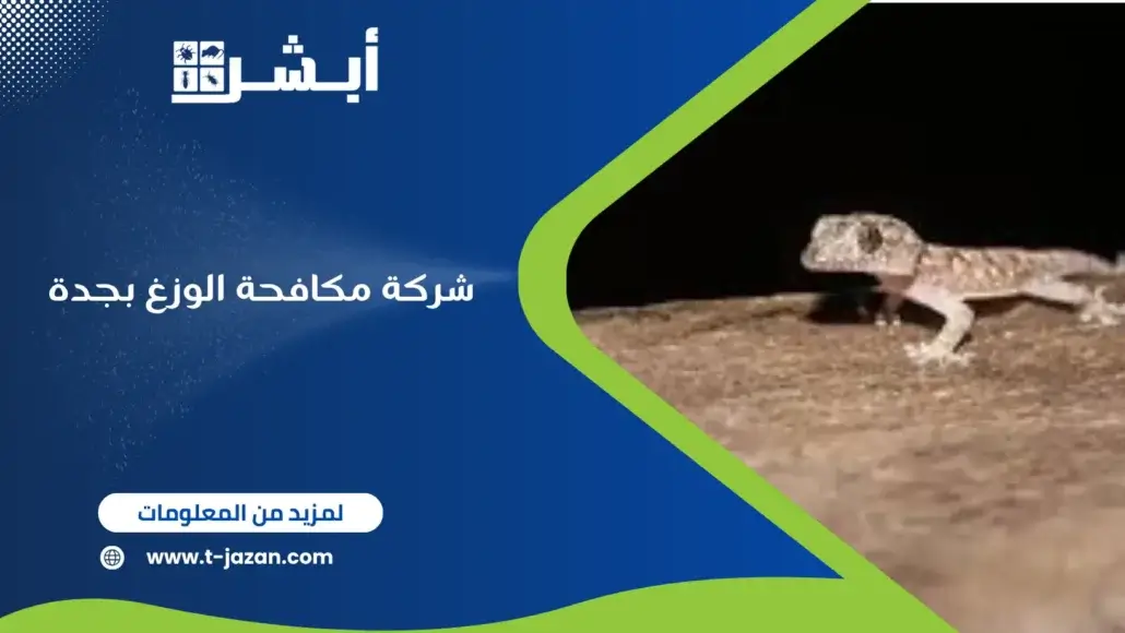 شركة مكافحة الوزغ بجدة