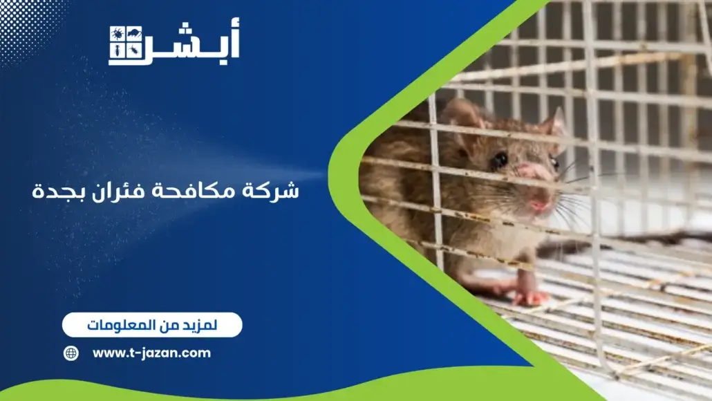 شركة مكافحة فئران بجدة