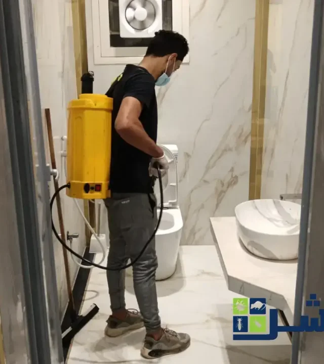 القضاء على الصراصير